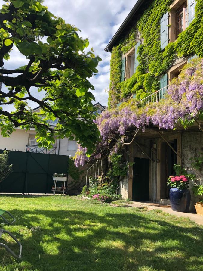 Le Clos Des Fontaines, A 5 Mn Du Lac Thonon-les-Bains Esterno foto